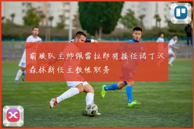 前狼队主帅佩雷拉即将接任诺丁汉森林新任主教练职务
